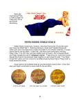 Collecting US & Canadian Pepsi-Cola Crowns Guide