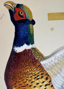 1970s Hand Painted Canadian Mist Pheasant Art