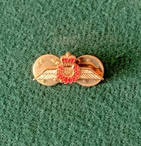 RCMP Crown Wings Lapel Pin for Collectors