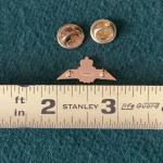 RCMP Crown Wings Lapel Pin for Collectors