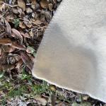 Hudson Bay 4-Point Wool Blanket, Twin Size