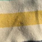 Hudson Bay 4-Point Wool Blanket, Twin Size