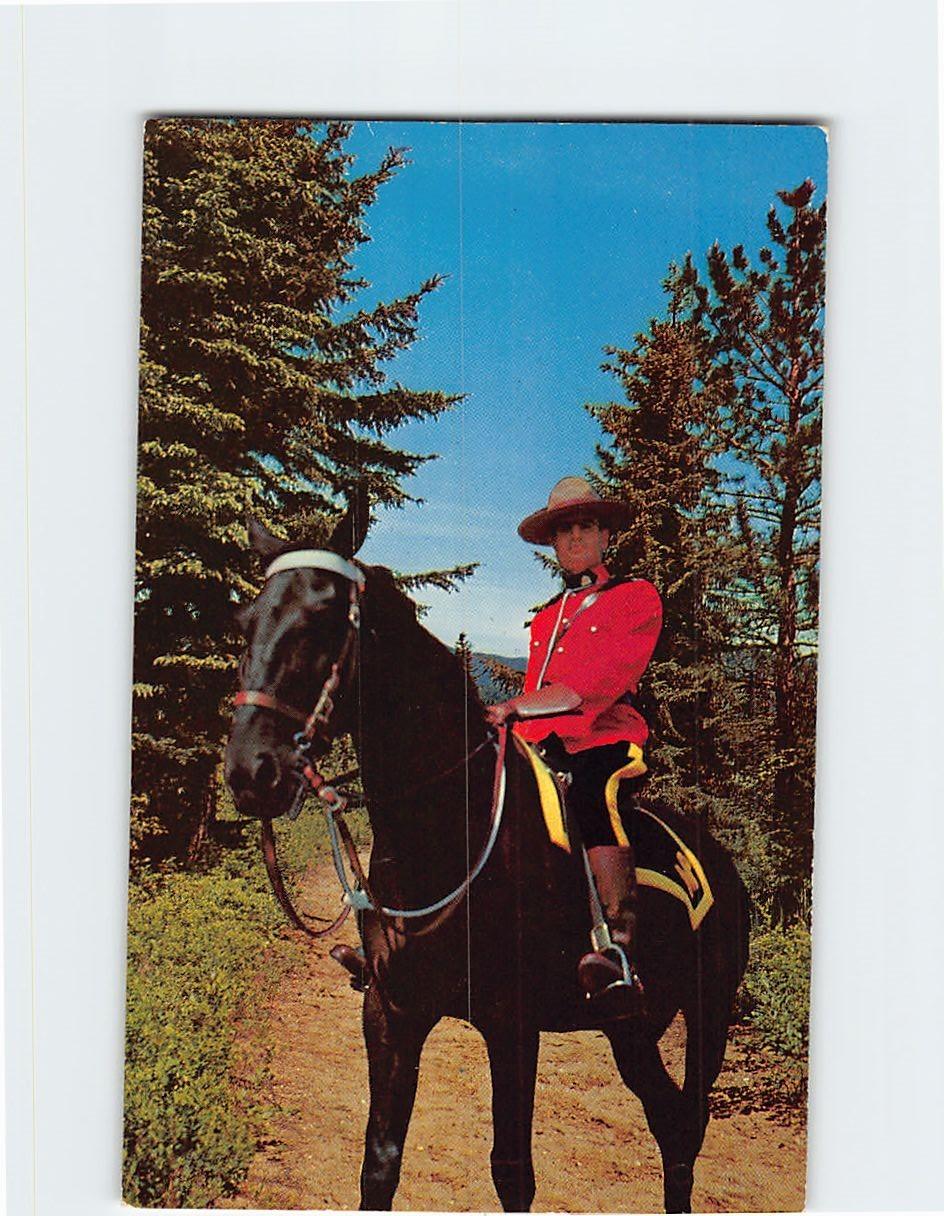 Vintage Royal Canadian Mountie Postcard