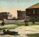 Hudson's Bay Company Vintage Block House Bears Postcard