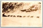 Royal Canadian Mountie Dog Sled Photo Postcard