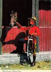 RCMP Officer and Horse Vintage Postcard