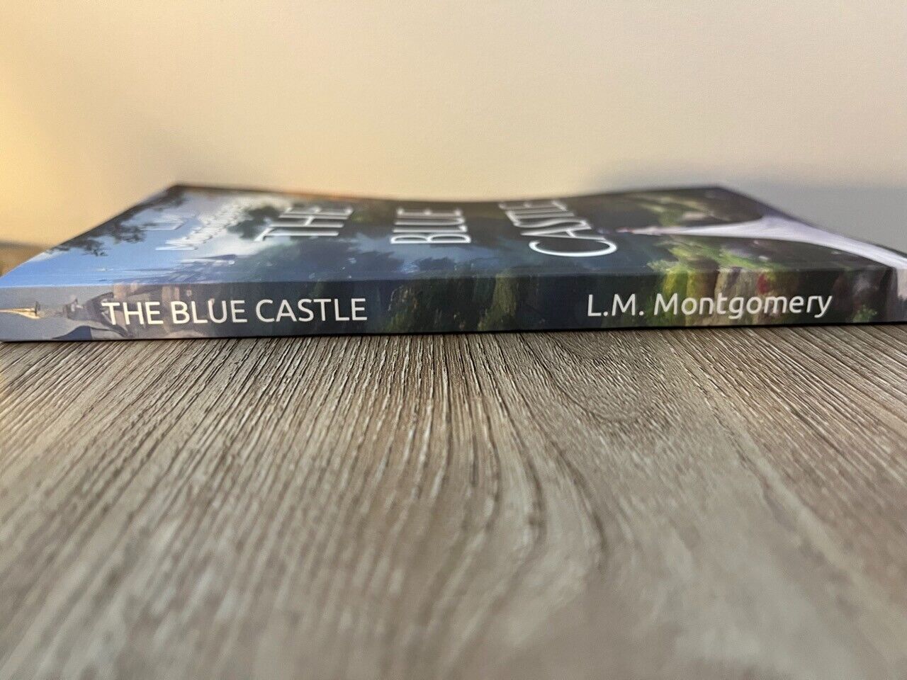 Blue Castle - Classic Canadian Literature Book