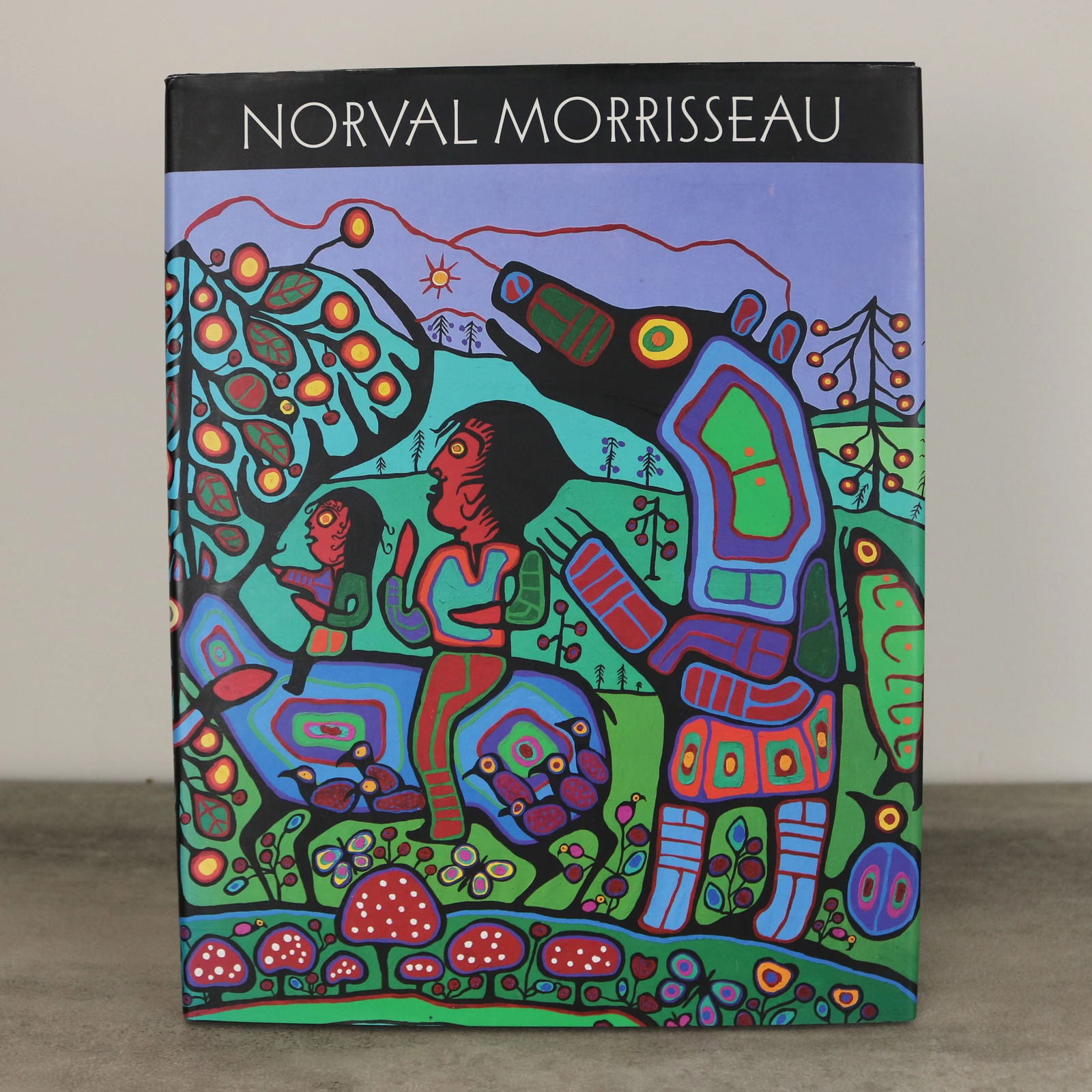 Norval Morrisseau Ojibwa Artist Vintage Art Book