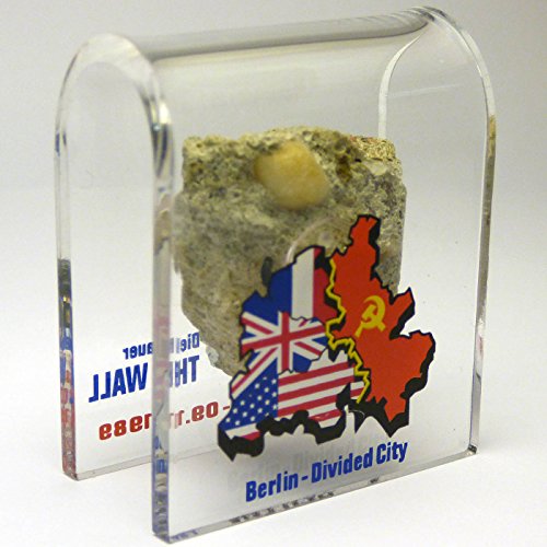 Berlin Wall Souvenir - Genuine Piece in Acrylic Display
