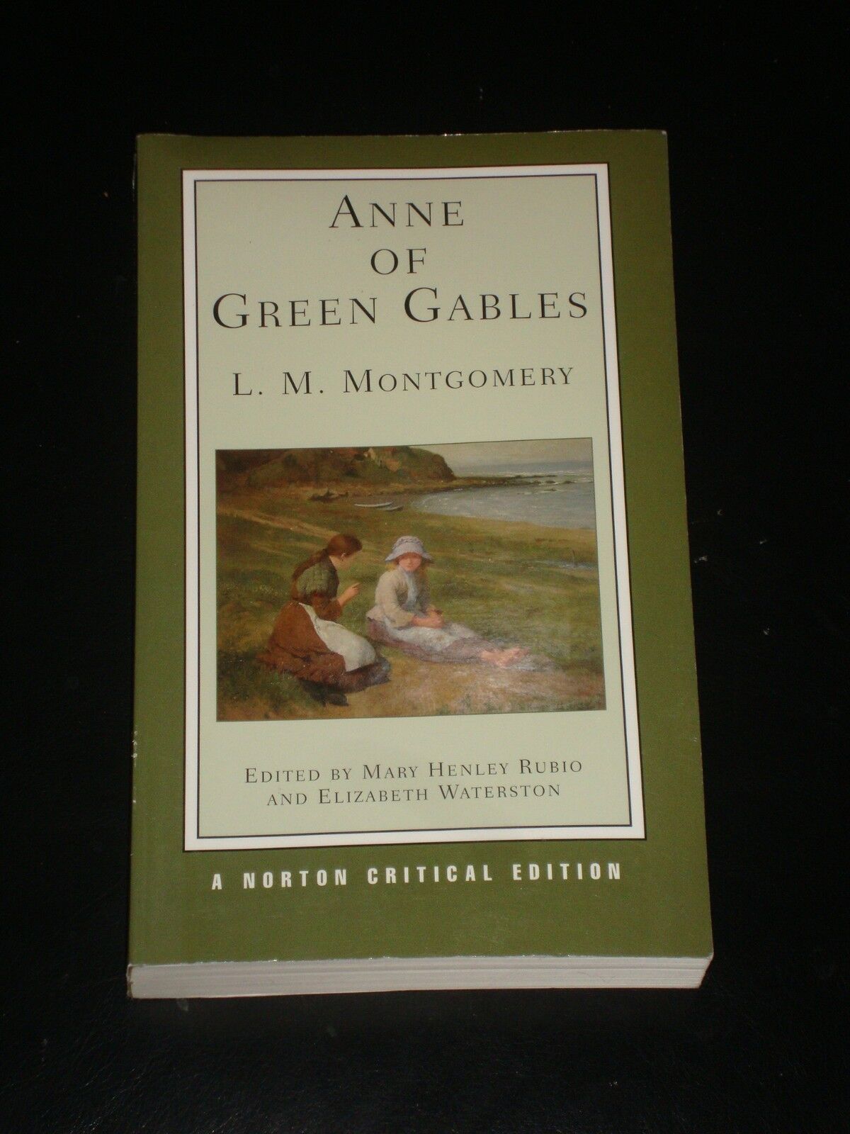 Vintage Anne of Green Gables Book & TV Adaptation