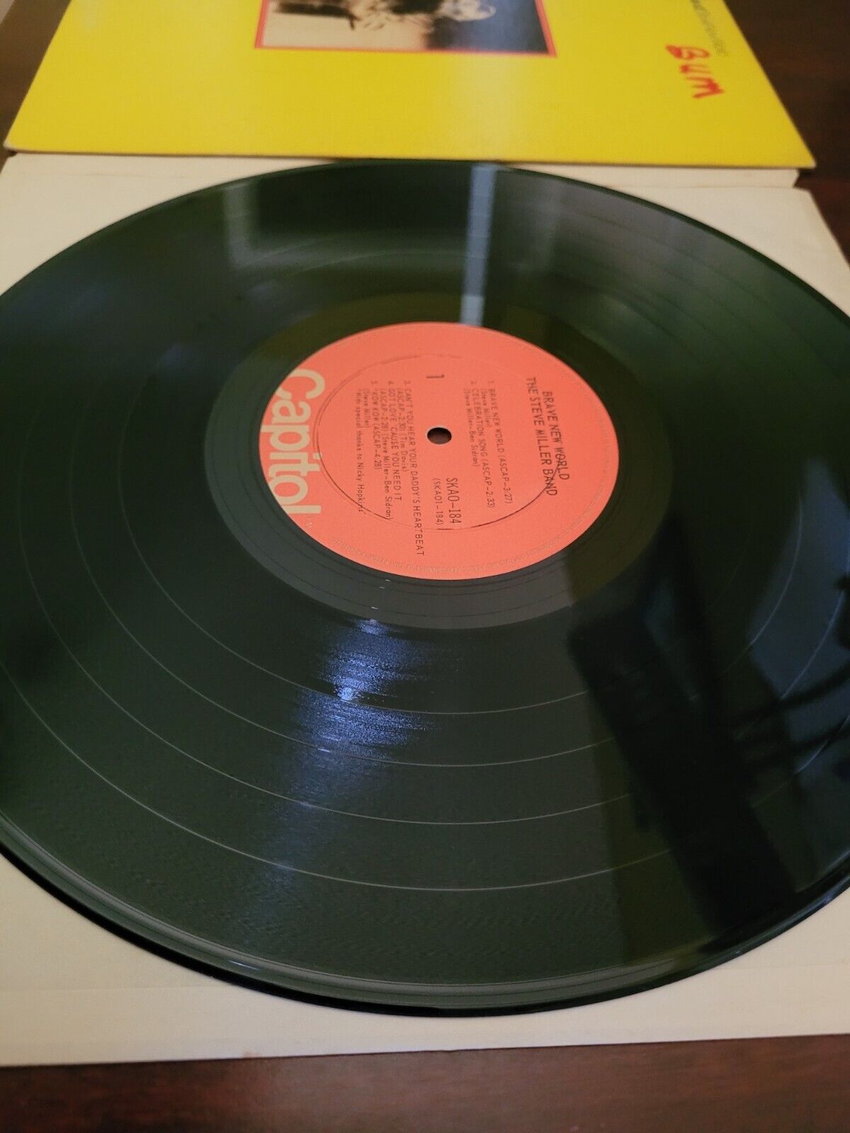 Steve Miller Band - Brave New World Vintage LP (Canadian)