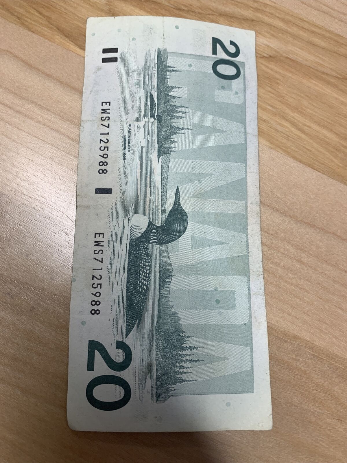 Rare 1991 Canadian $20.00 Bill in Vintage Style