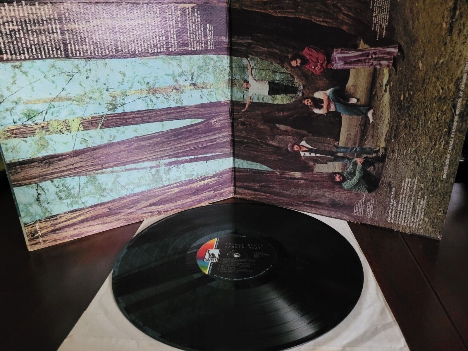 Canned Heat - Future Blues Vinyl LP (1970 Canada)