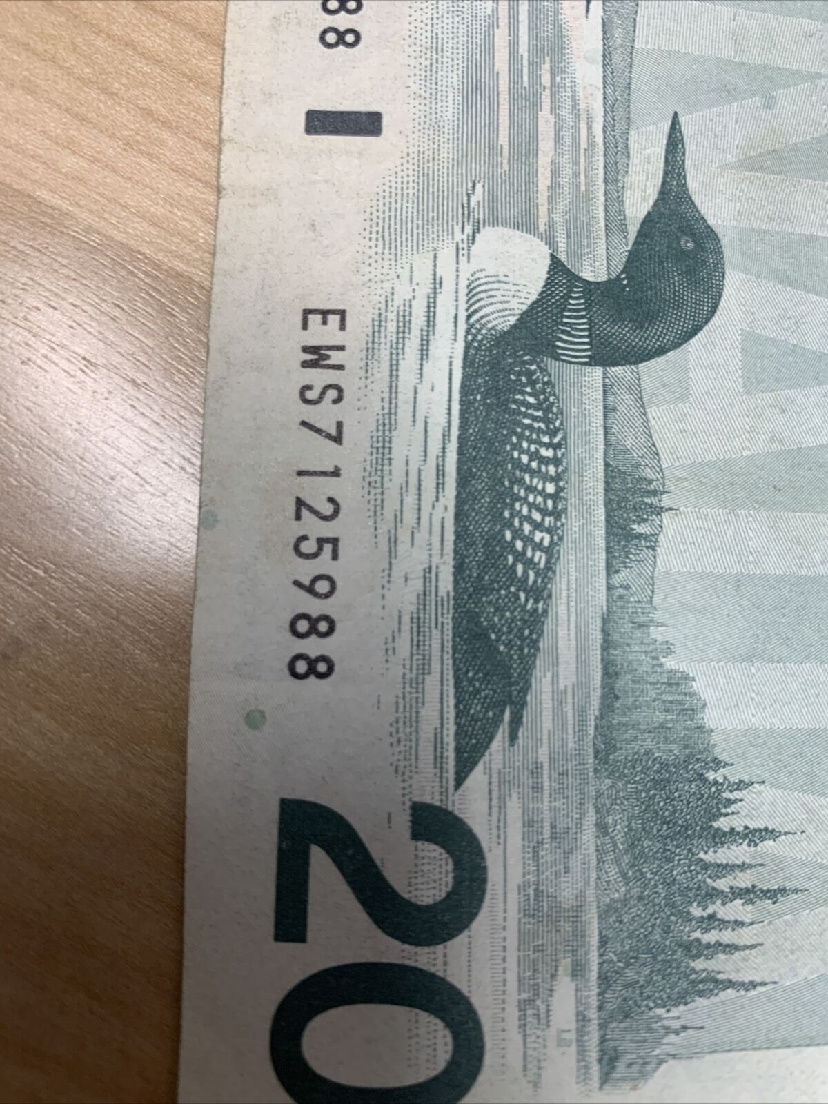 Rare 1991 Canadian $20.00 Bill in Vintage Style