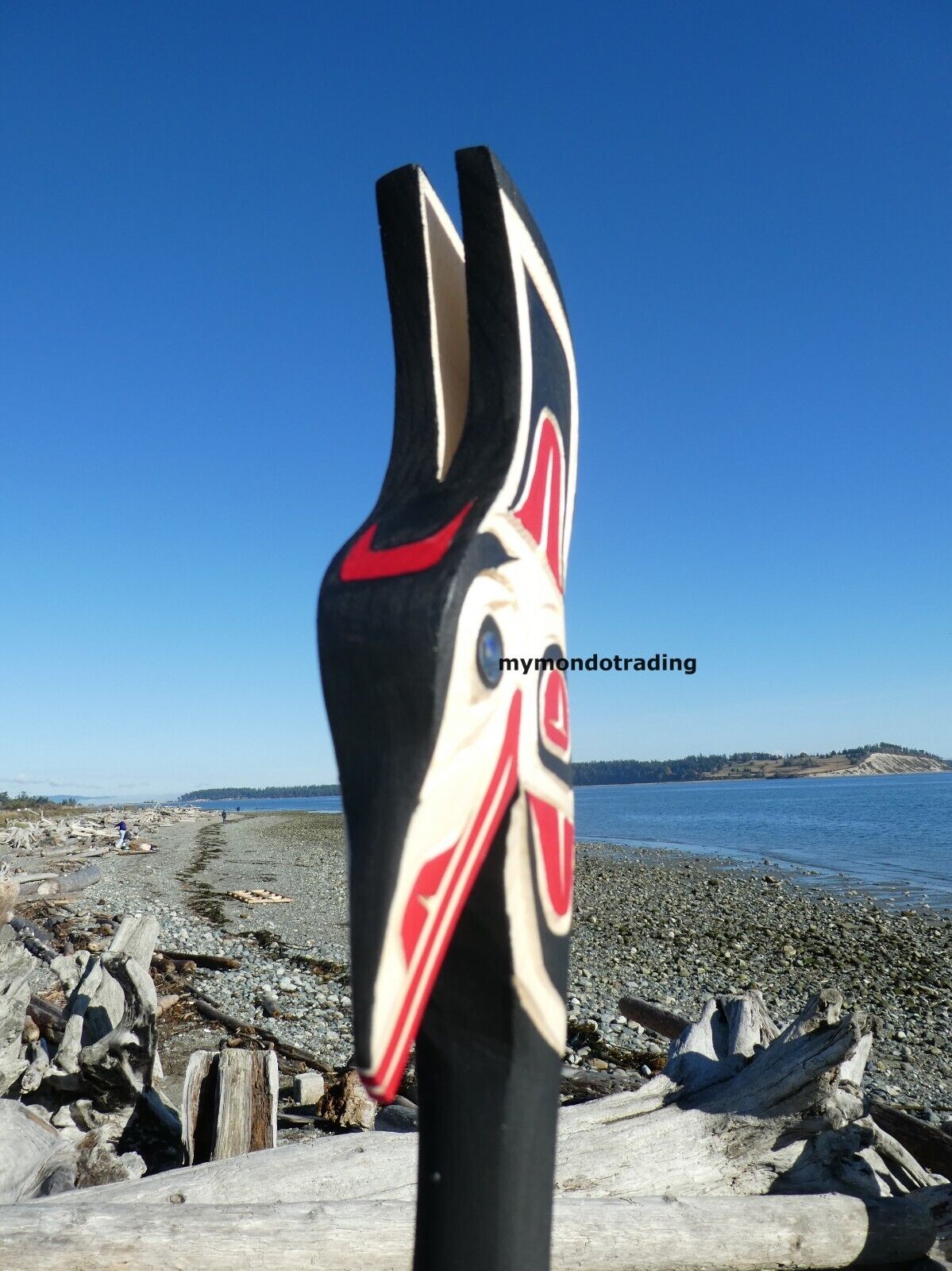 Authentic Northwest Native American Carved Hummingbird Rattle