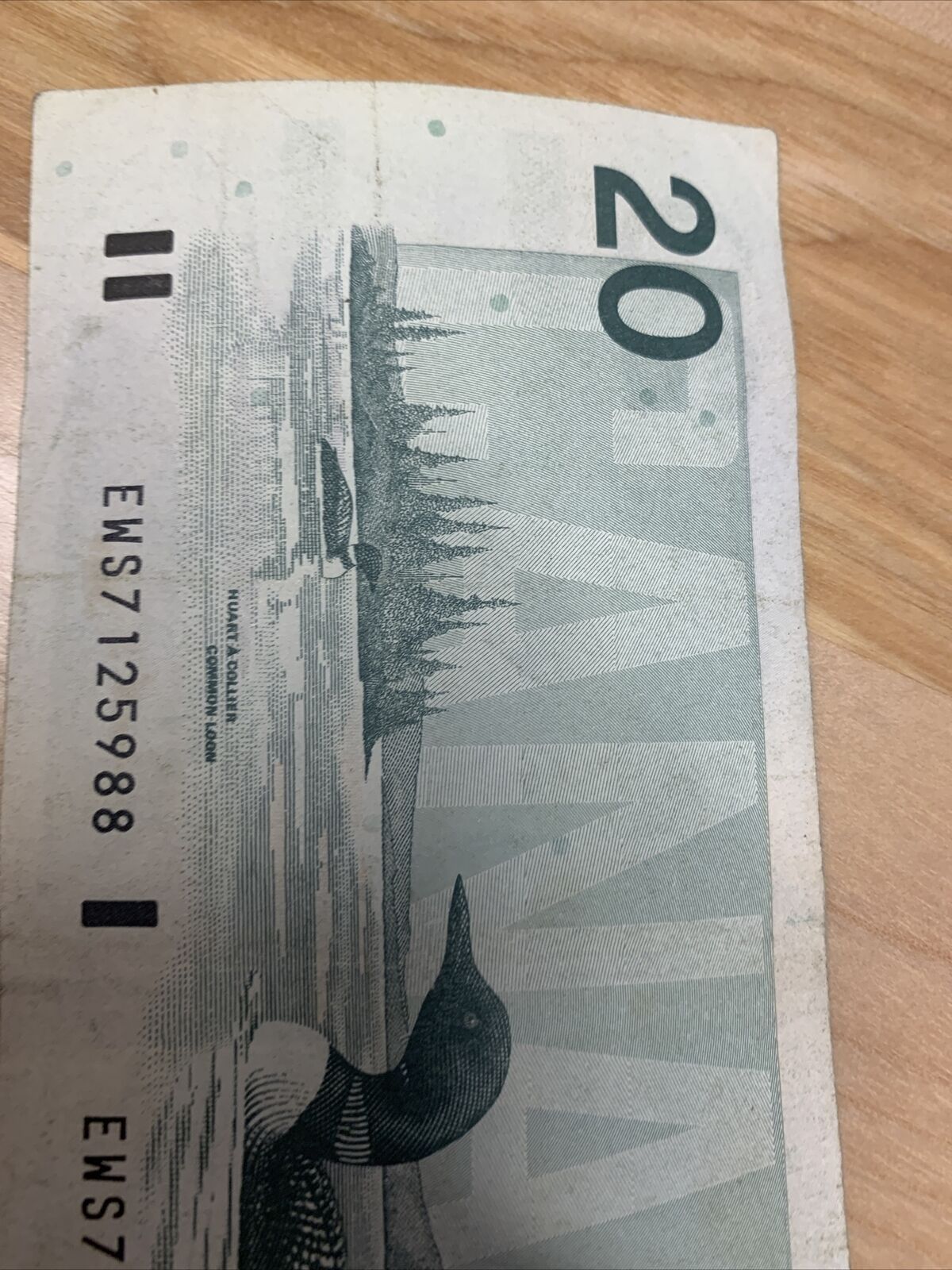 Rare 1991 Canadian $20.00 Bill in Vintage Style