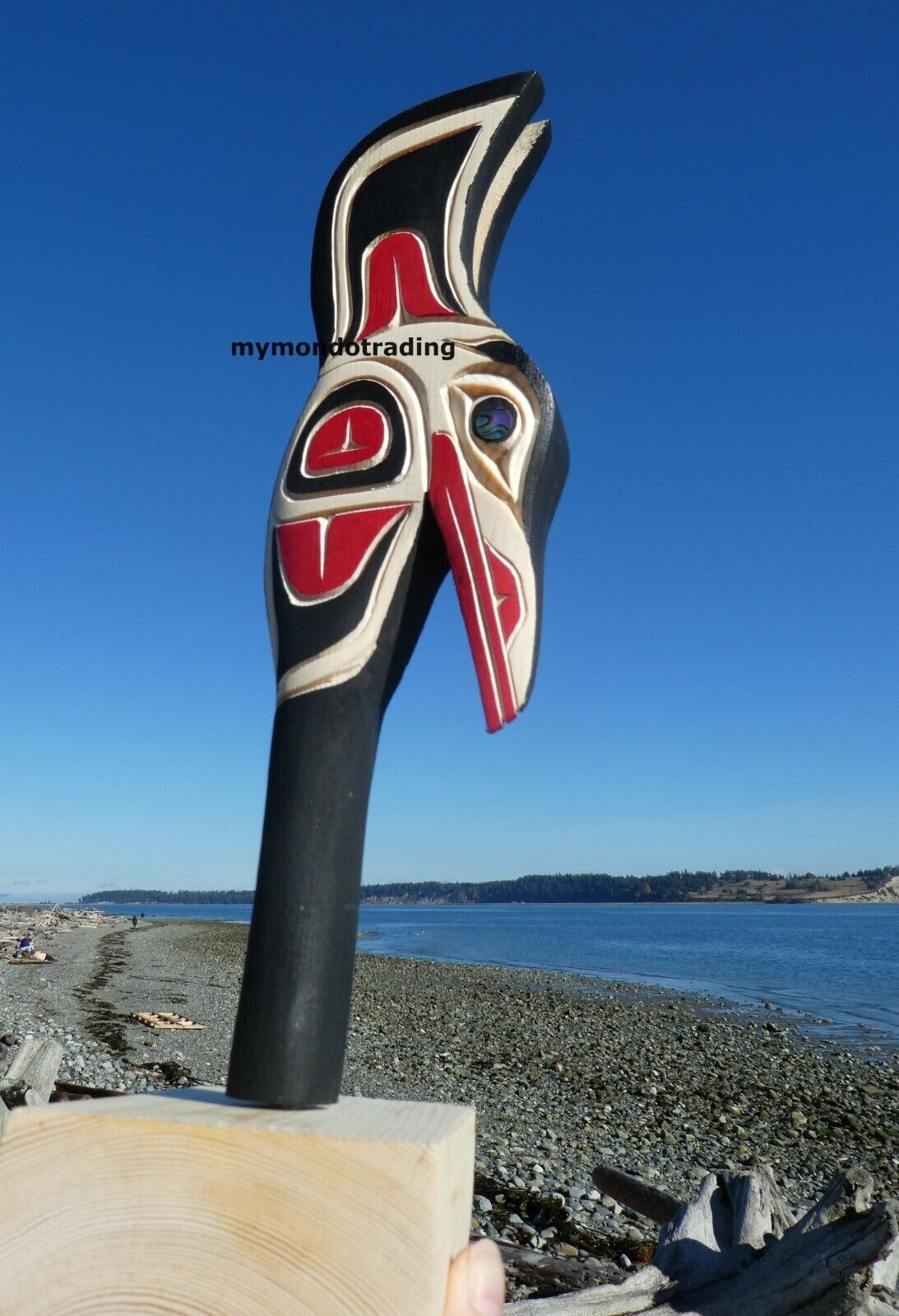 Authentic Northwest Native American Carved Hummingbird Rattle