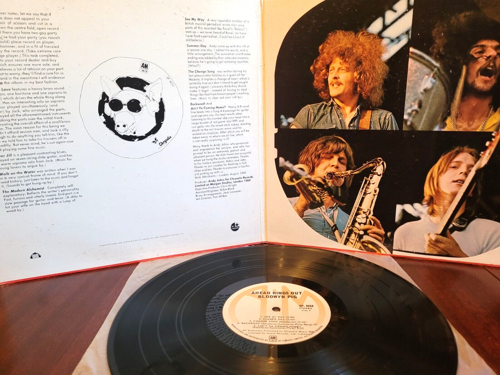 Vintage Blodwyn Pig Vinyl LP - Canadian Pressing