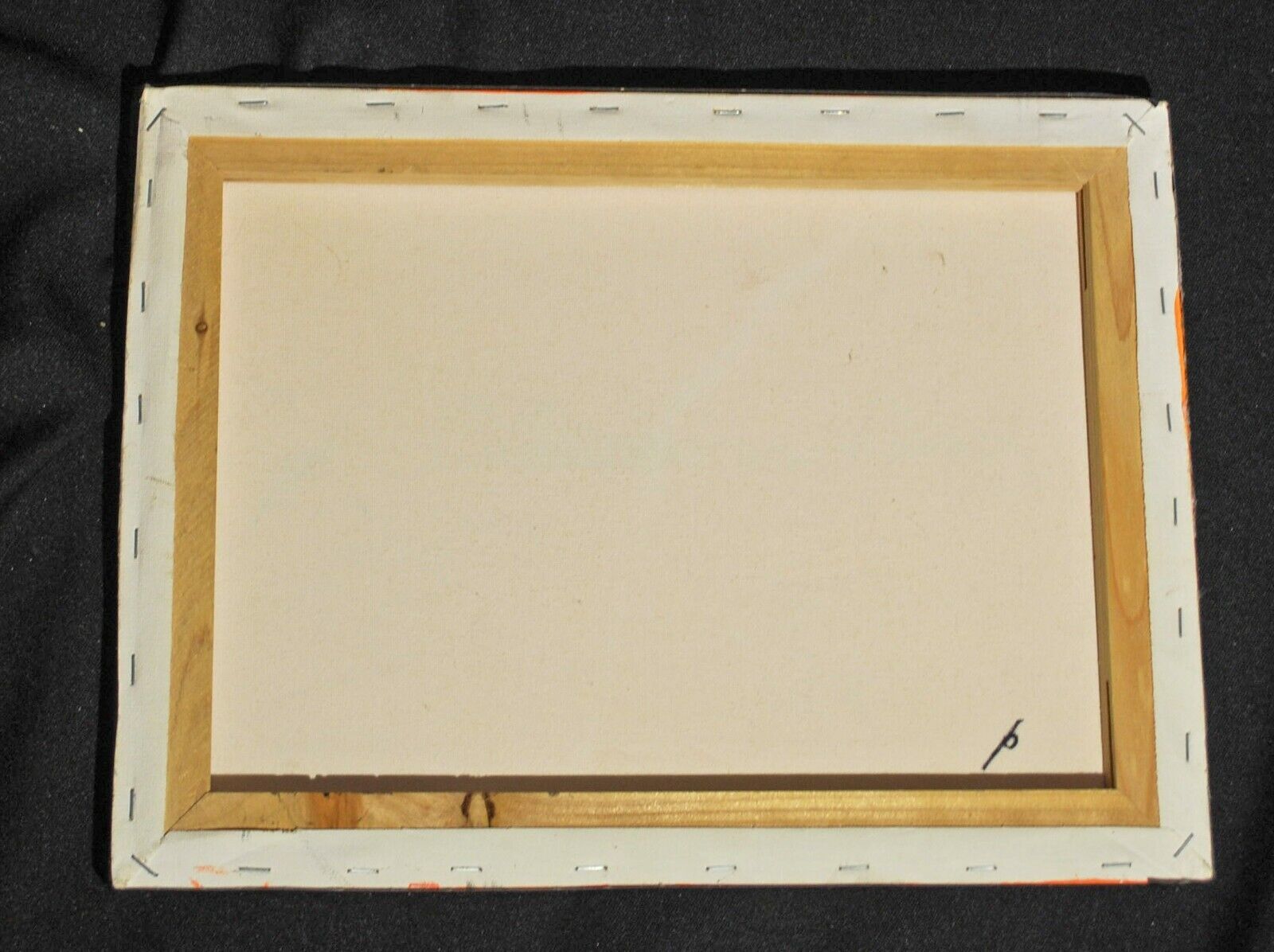 Vibrant Aboriginal Canadian Abstract Painting - Signed