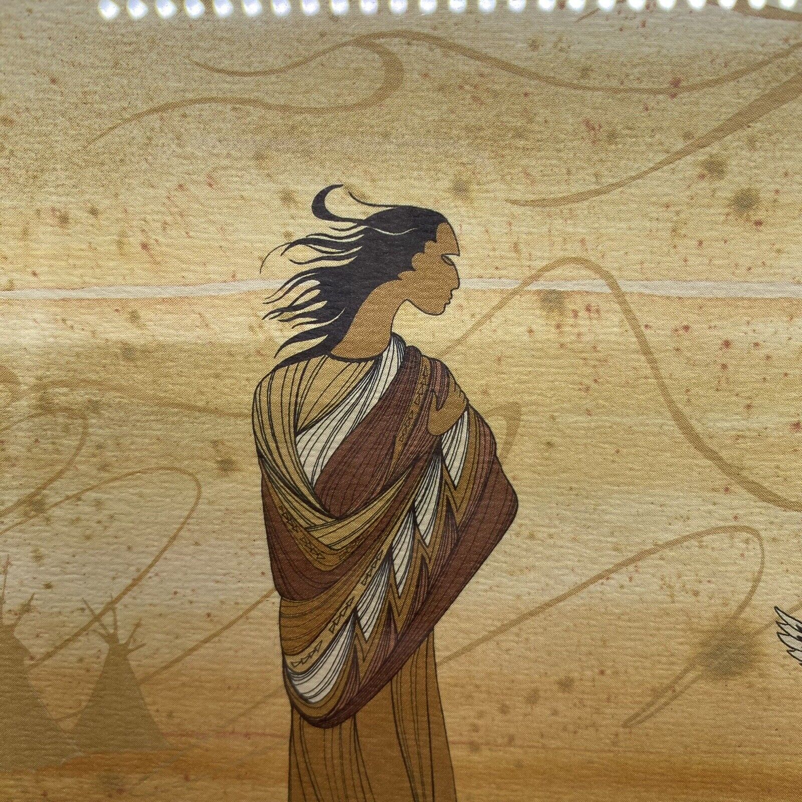 Signed Framed Canadian Indigenous Art: Toyan Mani Enlightenment