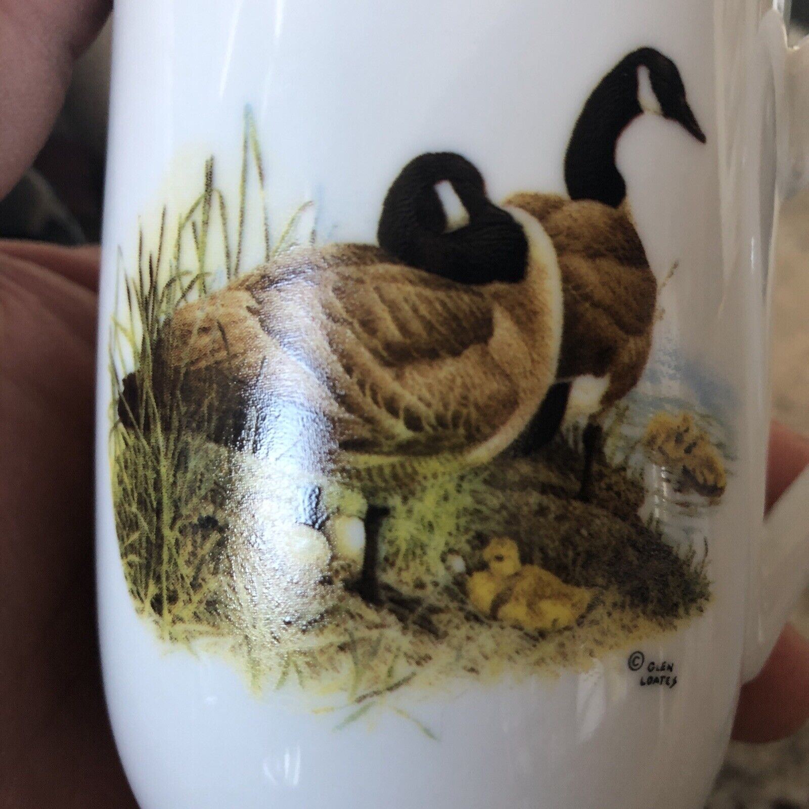Glen Loates Wildlife 4 Tea Cups Vintage Collection