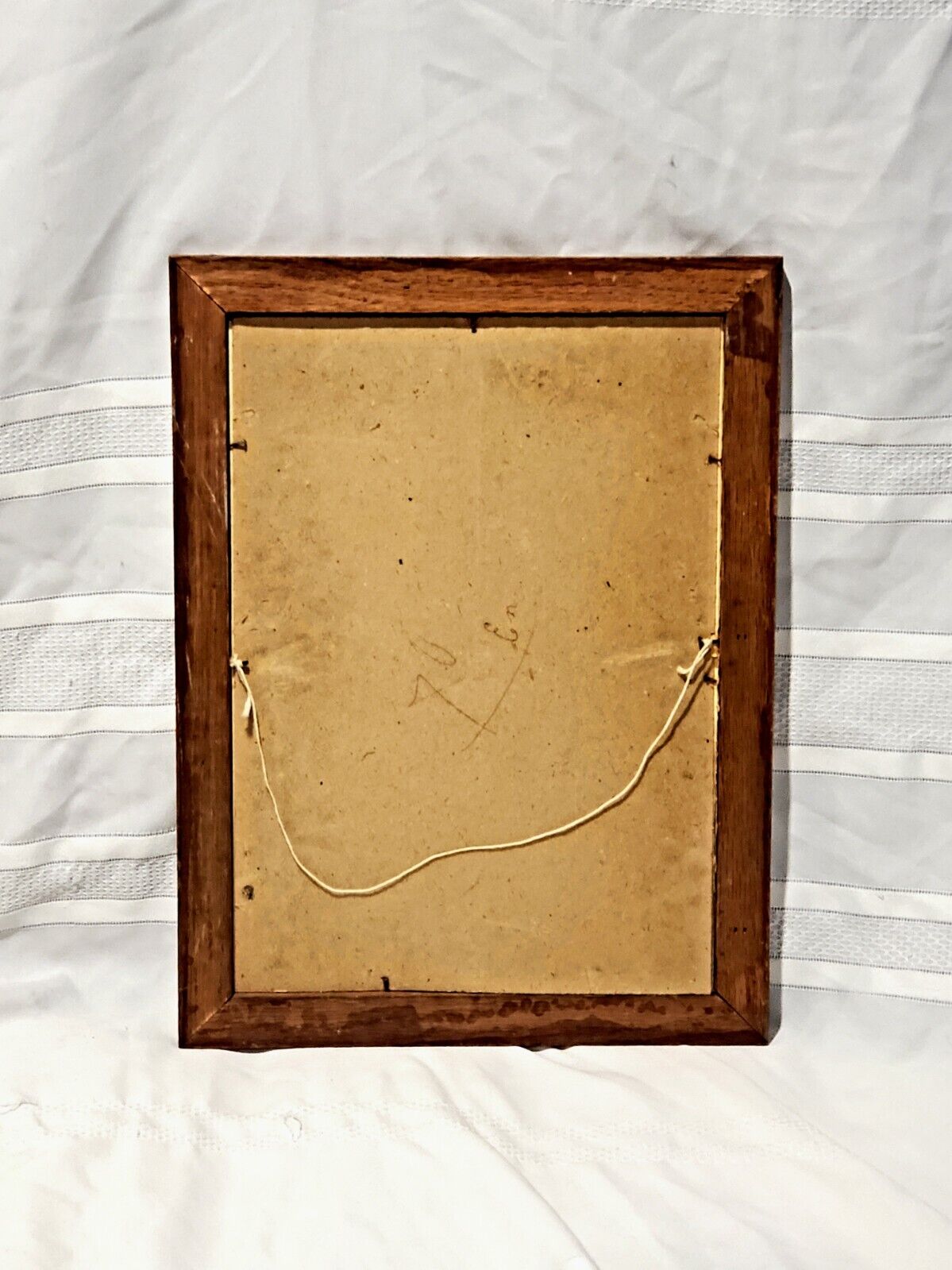 Parker Print: Animals of Canada in Vintage Frame