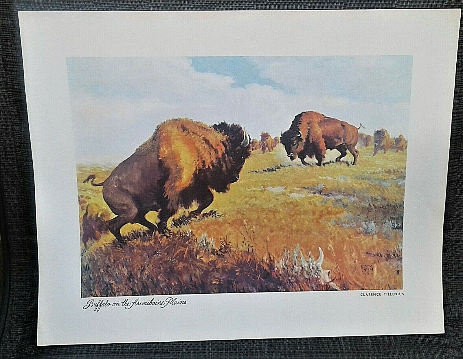 Canadian wildlife: Vintage Tillenius "Monarchs" 11-print box