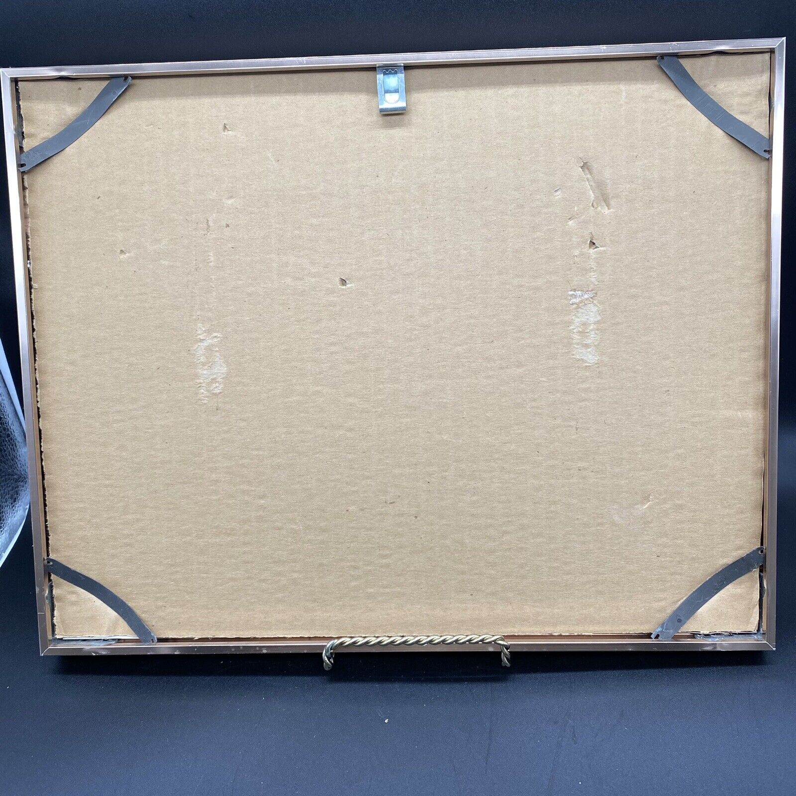 Signed Framed Canadian Indigenous Art: Toyan Mani Enlightenment