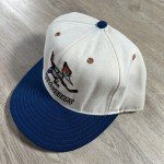 Vintage Phoenix Roadrunners Snapback Cap