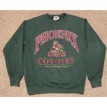 Retro 90s Arizona Coyotes NHL Sweatshirt Unisex