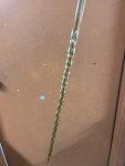 Vintage Brown Glass Twisted Walking Cane