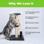 Interactive Cat Scratcher and Claw Safe Post