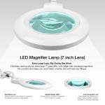 7-Inch LED Magnifying Lamp with Clamp