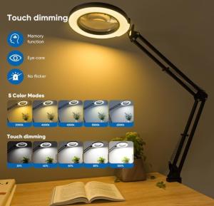 10X LED Magnifying Lamp with Adjustable Arm