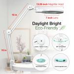 7-Inch LED Magnifying Lamp with Clamp