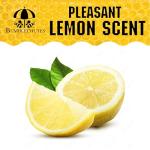 All-Purpose Natural Wax Finish Paste - 8 oz