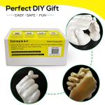 Hand Casting Powder Kit Refill - 1.1Lb Alginate & Stone