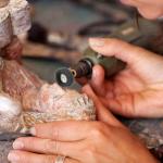 50-Piece Metal Polishing Wheel Burr Kit for Dremel