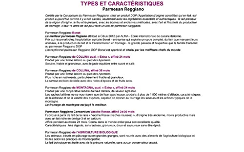 24-month Aged Saliceto Half Wheel Parmesan Cheese