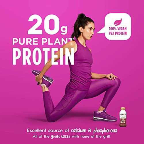 Ripple Chocolate Nutrtion Protein shake 12 oz ( Pack of 4 )