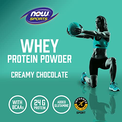 Creamy Chocolate Whey Protein with BCAAs