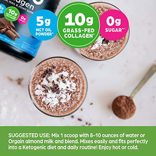 Chocolate Keto Collagen + MCT Powder - Orgain
