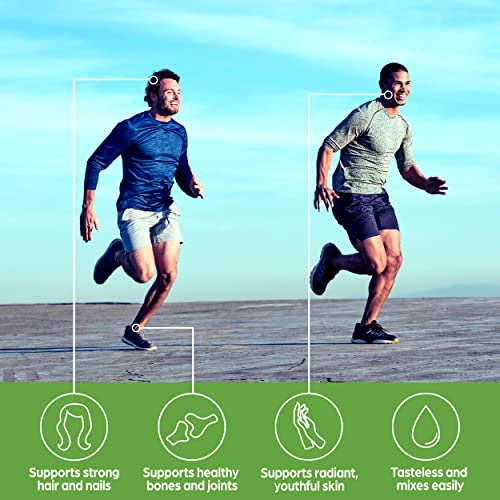 Chocolate Keto Collagen + MCT Powder - Orgain