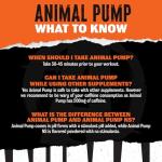 Animal Pump - Preworkout Energy with Creatine