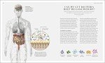 Nutrition Secrets: Banish Diet Myths for Wellness