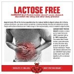 MuscleMeds CARNIVOR LEAN MEAL Protein Shake - Vanilla