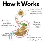 Max Strength Appetite Suppressants & Gut Health Powder