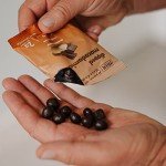 Chocolate Dipped Macadamia Nuts - Zero Sugar Snack