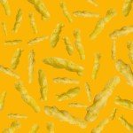 Insane Grain Vegan Sorghum Supergrain Puffs - 10 Pack