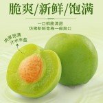 Sweet and Sour Crispy Dried Green Plums 200g